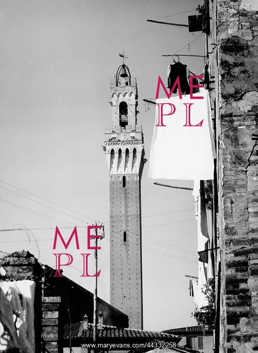  : Torre del Mangia, Siena
