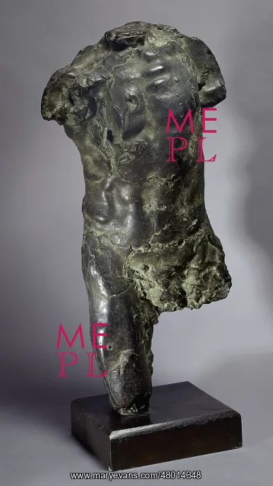 : Torso of a man : Torso of a man
