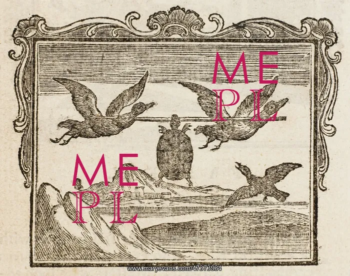: Tortoise - Two Ducks : Tortoise - Two Ducks