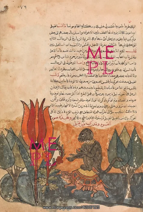 : The Tortoise Ferries the Monkey, Folio from a : The Tortoise Ferries the Monkey, Folio from a