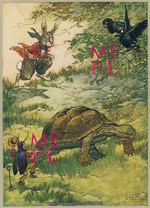  : TORTOISE AND HARE (FOL)