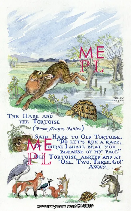  : Tortoise and Hare run a race