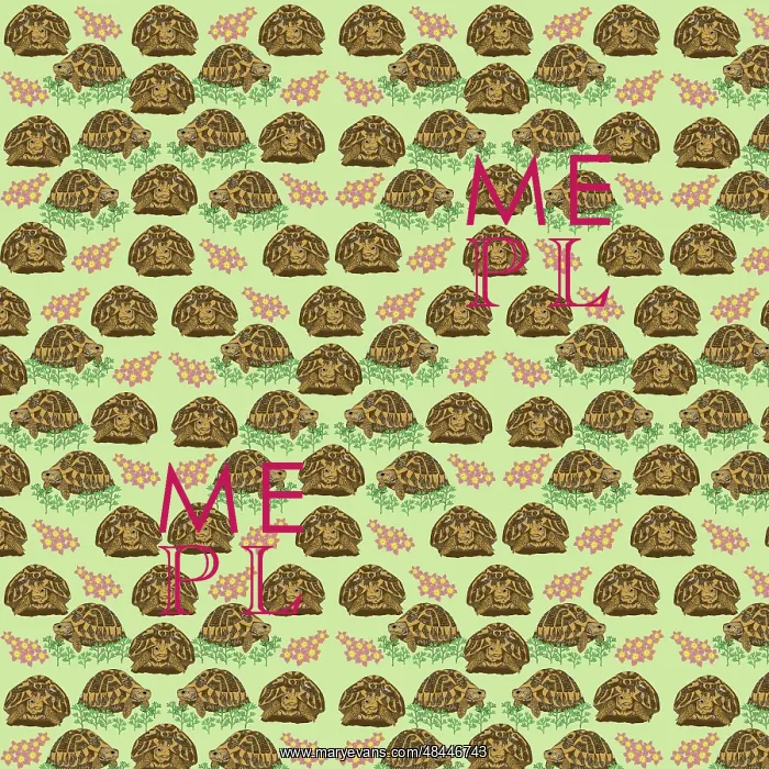  : Tortoise repeating pattern