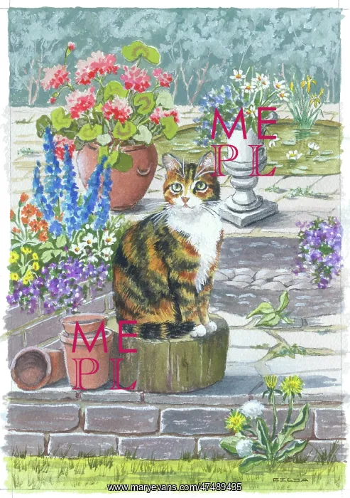 : Tortoiseshell Cat in Garden : Tortoiseshell Cat in Garden