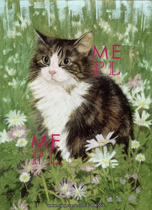  : Tortoiseshell and White Cat and Anemones