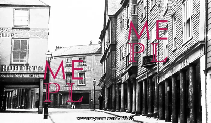  : Totnes, Devon, Victorian period