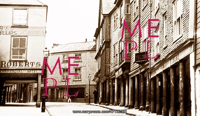  : Totnes, Devon, Victorian period