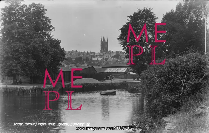 : Totnes from the River : Totnes from the River