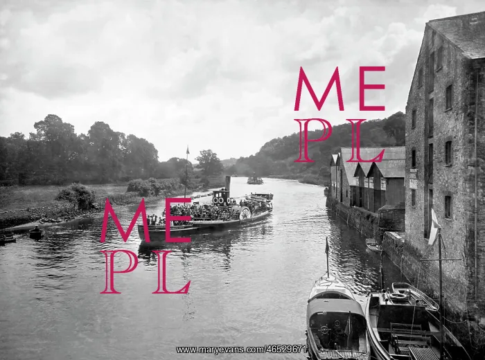  : Totnes, Steamer on the River Dart 1931