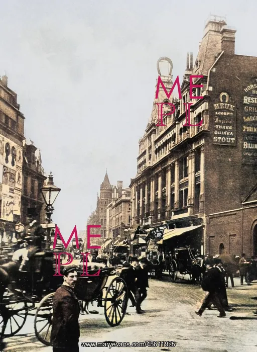 : TOTTENHAM COURT ROAD c. 1895 : TOTTENHAM COURT ROAD c. 1895