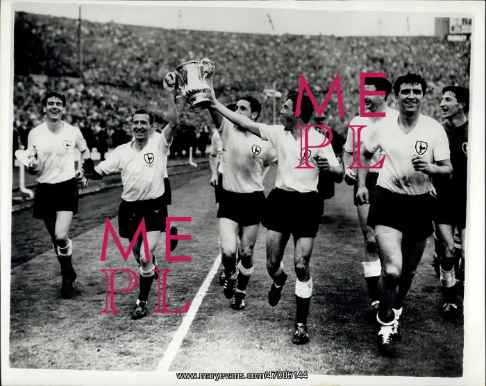 : Tottenham Hotspur win FA Cup at Wembley : Tottenham Hotspur win FA Cup at Wembley