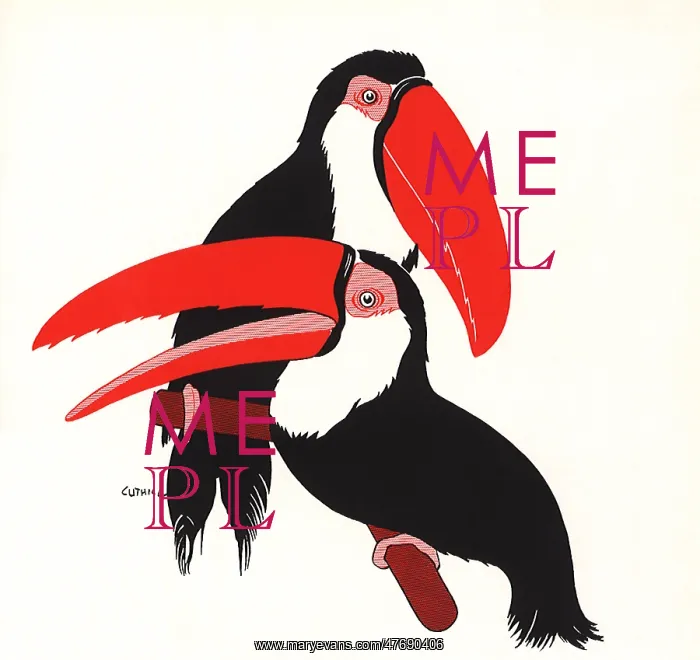  : Toucans