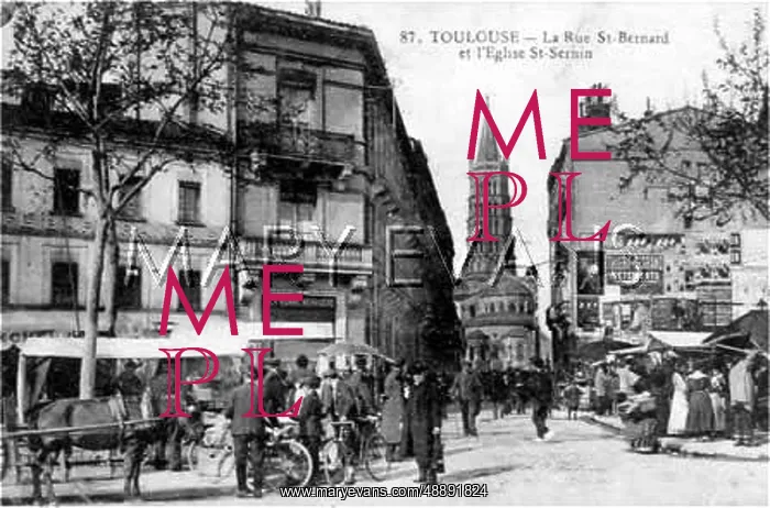 : TOULOUSE / ST BERNARD 1905 : TOULOUSE / ST BERNARD 1905
