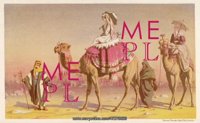 : Tourists on Camels - 1869 : Tourists on Camels - 1869