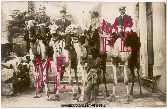 : Tourists on camels - Egypt : Tourists on camels - Egypt