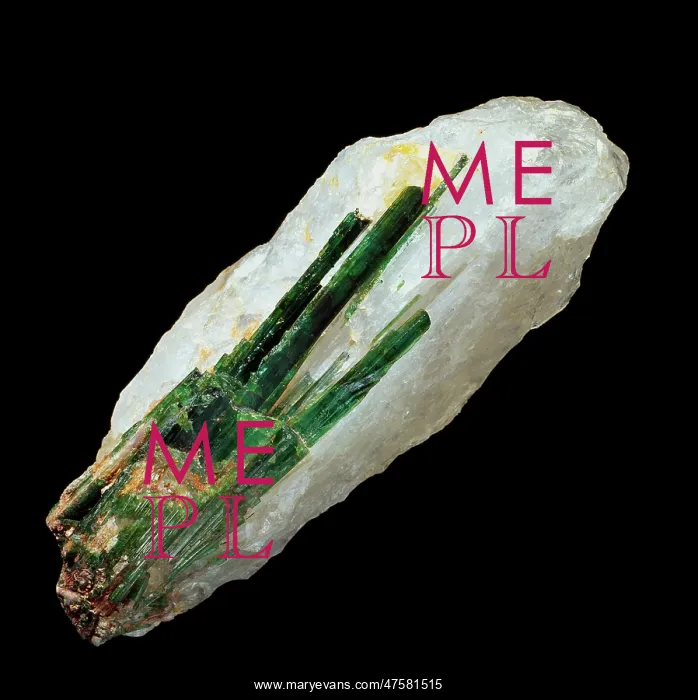 : Tourmaline : Tourmaline