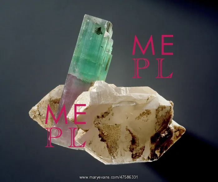 : Tourmaline crystal : Tourmaline crystal