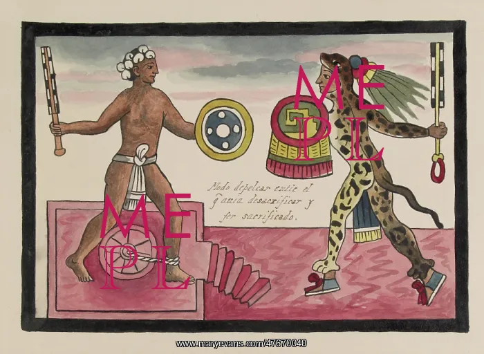 : Tovar Codex, Aztec Gladiatorial Sacrifice : Tovar Codex, Aztec Gladiatorial Sacrifice