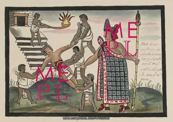 : Tovar Codex, Aztec Priest Performs Human Sacrifice : Tovar Codex, Aztec Priest Performs Human Sacrifice