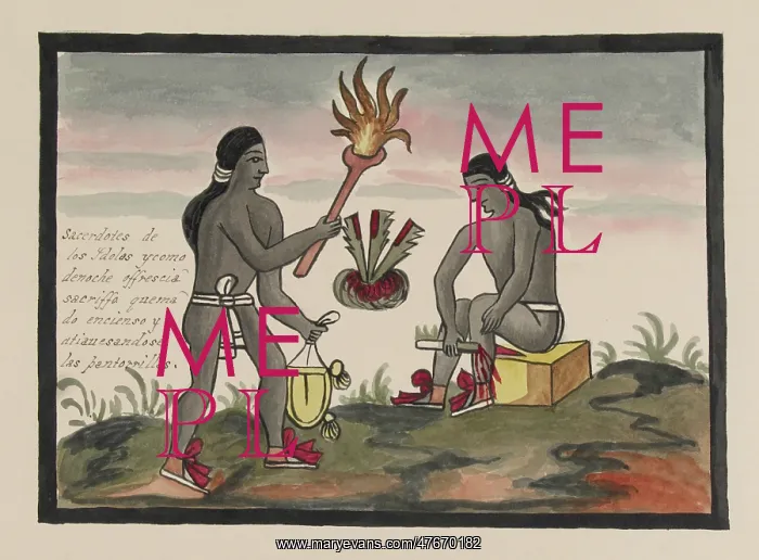 : Tovar Codex, Aztec Priests Burning Incense and Offering Bloo : Tovar Codex, Aztec Priests Burning Incense and Offering Bloo