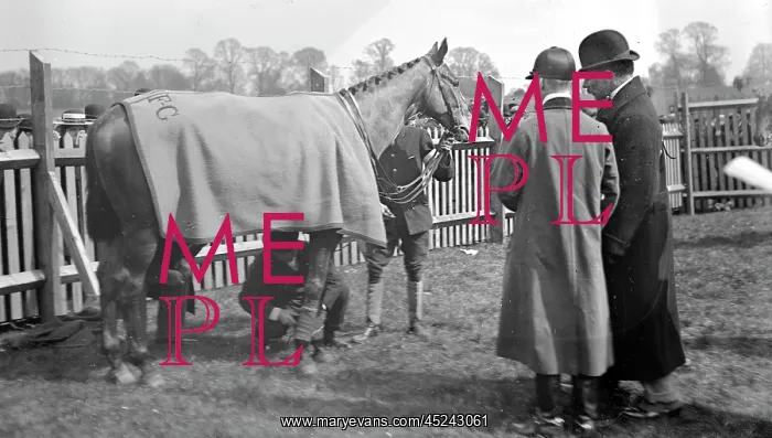 : Towcester Races paddock : Towcester Races paddock