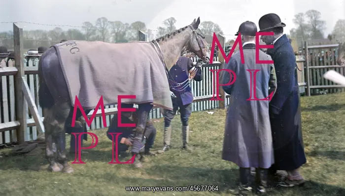 : Towcester Races paddock : Towcester Races paddock