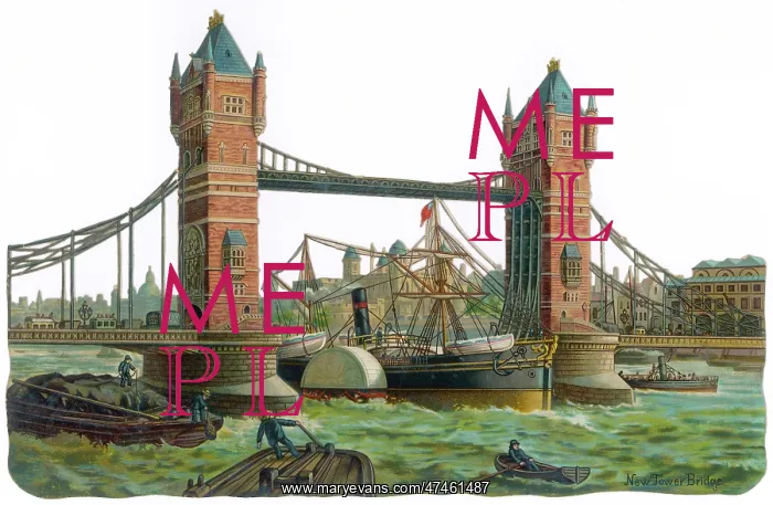 : Tower Bridge : Tower Bridge