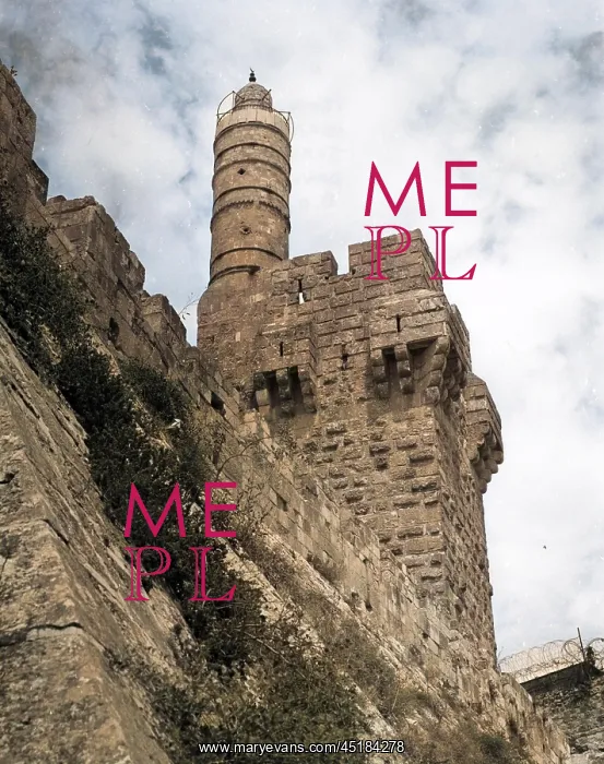: THE TOWER OF DAVID : THE TOWER OF DAVID