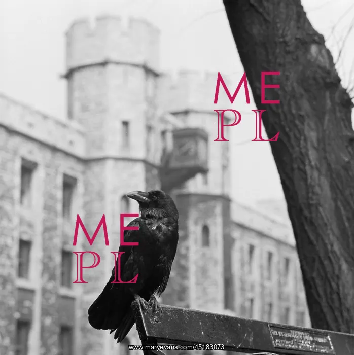 : Tower Of London : Tower Of London