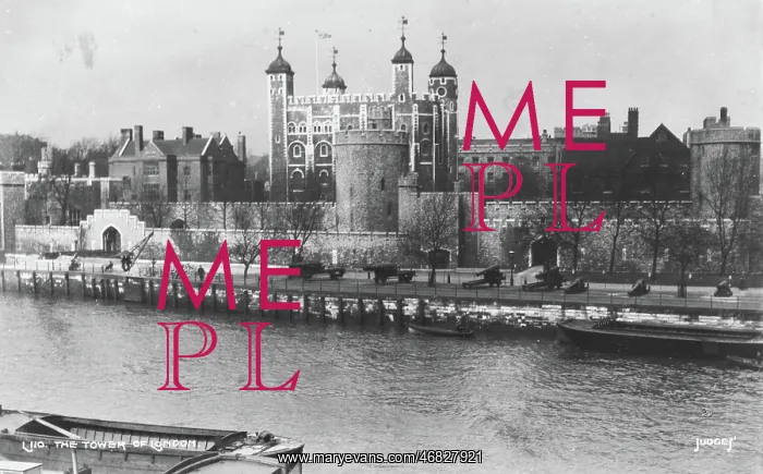 : The Tower of London : The Tower of London