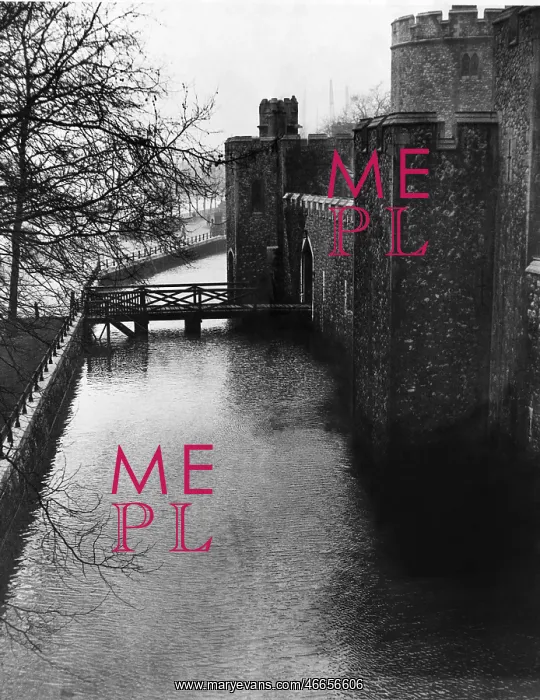 : The Tower of London moat flooded : The Tower of London moat flooded