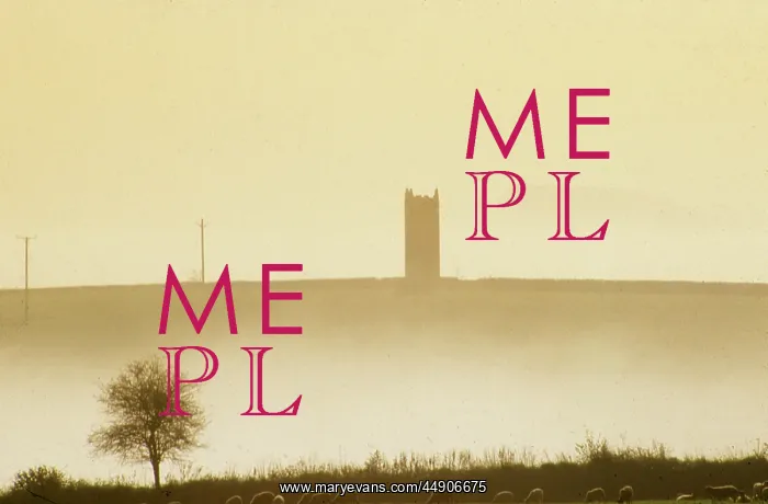 : Tower in the mist, Cotehele, Tamar Valley, Cornwall : Tower in the mist, Cotehele, Tamar Valley, Cornwall