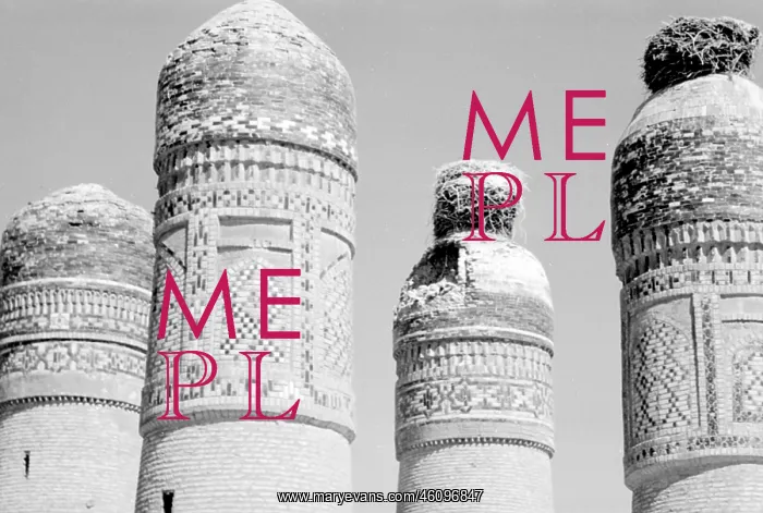 : Towers in Bukhara, Central Asia : Towers in Bukhara, Central Asia