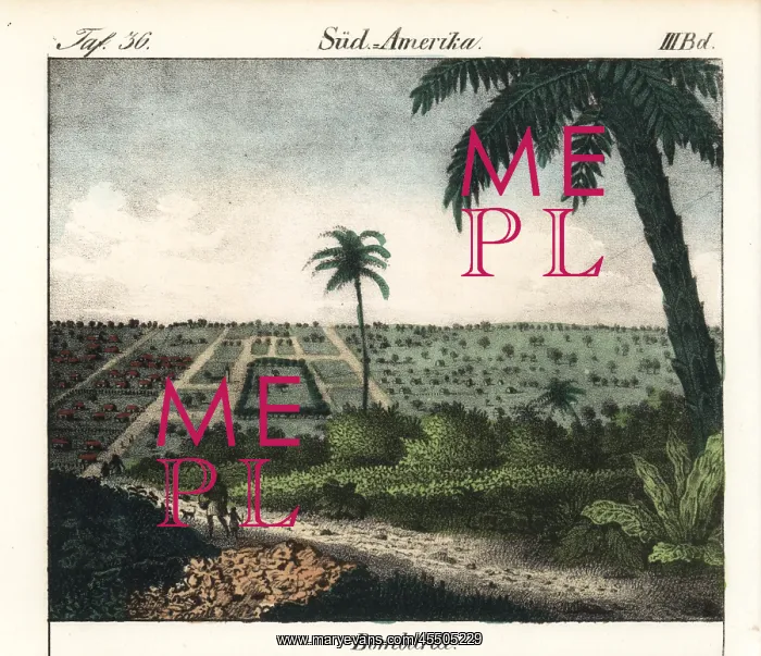 : The town of Bombarde in Haiti : The town of Bombarde in Haiti