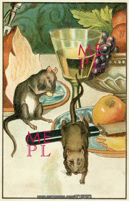 : Town - Country Mouse : Town - Country Mouse