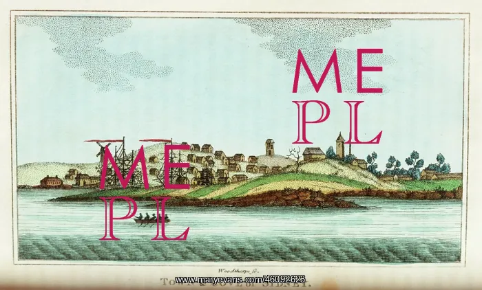 : Town and cove of Sydney : Town and cove of Sydney