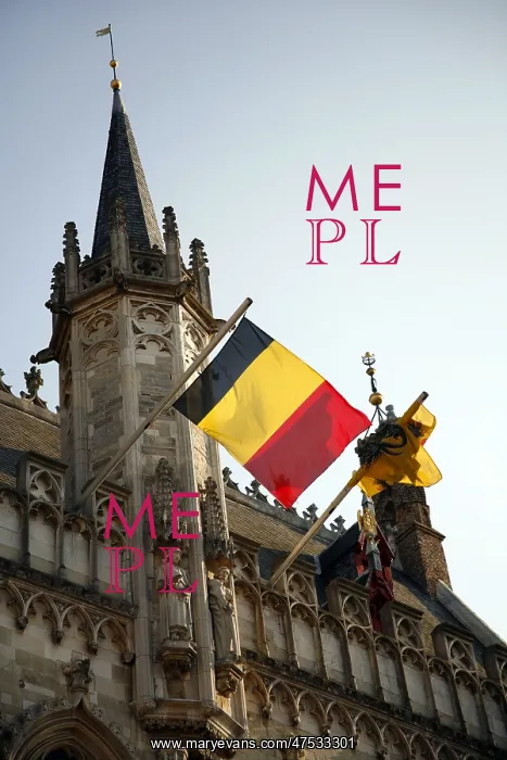 : Town Hall in Bruges : Town Hall in Bruges