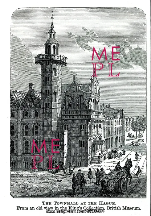 : The Town Hall at the Hague : The Town Hall at the Hague