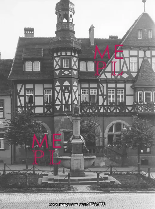: The Town Hall of Harzgerode : The Town Hall of Harzgerode