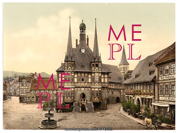 : The town hall, Wernigerode, Hartz, Germany : The town hall, Wernigerode, Hartz, Germany