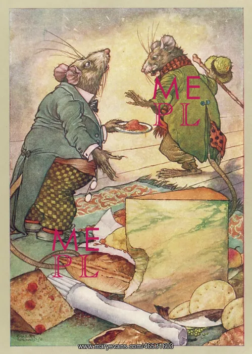 : Town Mouse and Country Mouse : Town Mouse and Country Mouse