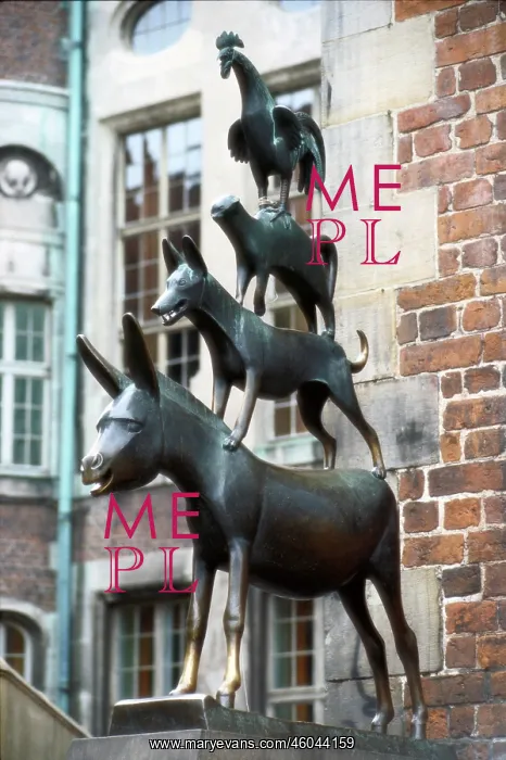: Town Musicians of Bremen : Town Musicians of Bremen