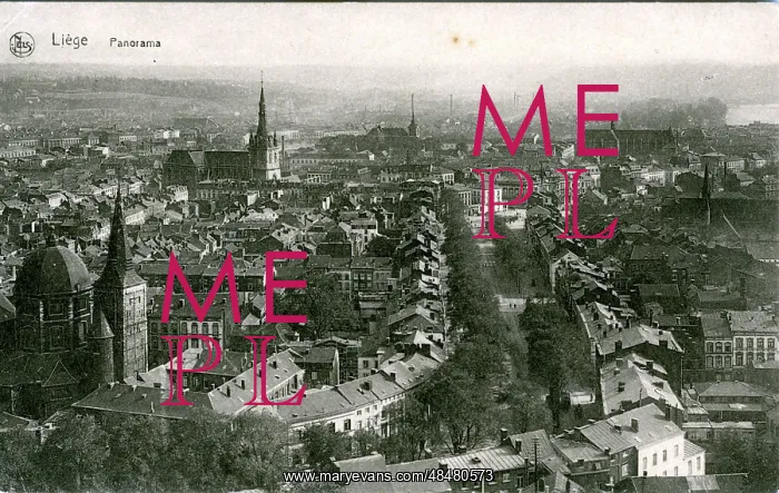 : The Town - Panorama, Liege : The Town - Panorama, Liege