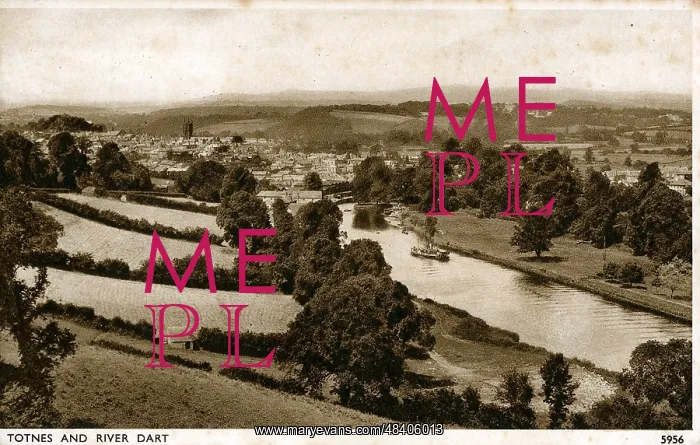 : Town & River Dart, Totnes, Devon : Town & River Dart, Totnes, Devon