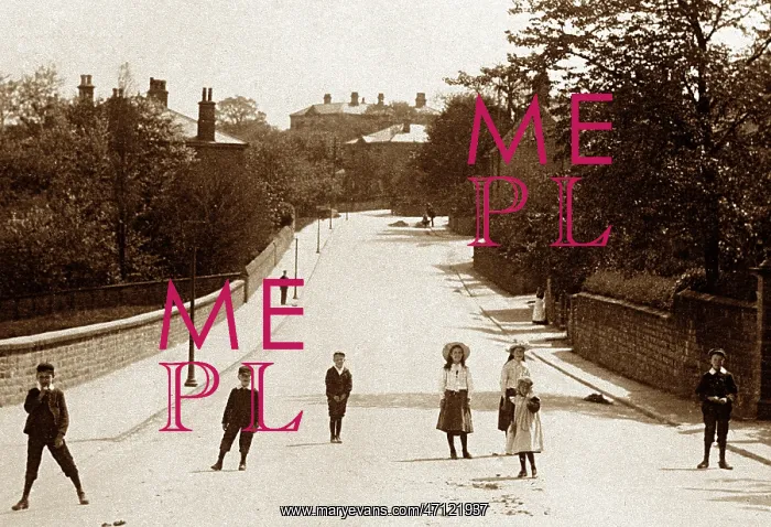 : Towngate, Calverley, early 1900s