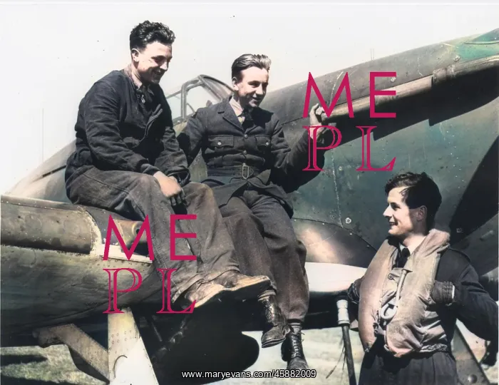 : Townsend, Peter, Squadron Ldr, RAF and Hawker Hurricane? : Townsend, Peter, Squadron Ldr, RAF and Hawker Hurricane?