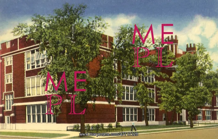 : Township High School. Waukegan : Township High School. Waukegan