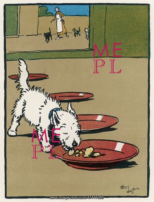 : Towser the dog eats other animals food : Towser the dog eats other animals food