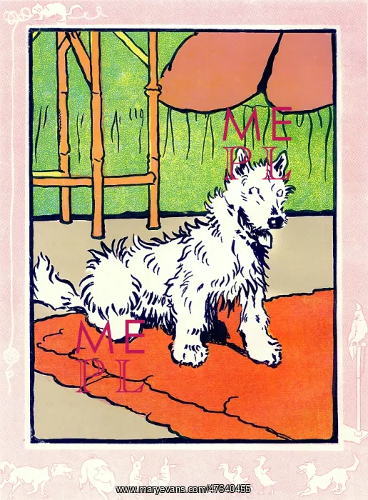 : Towser the dog looking happy : Towser the dog looking happy