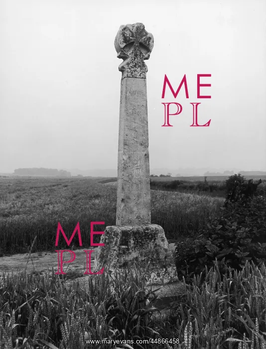 : TOWTON BATTLE MONUMENT : TOWTON BATTLE MONUMENT